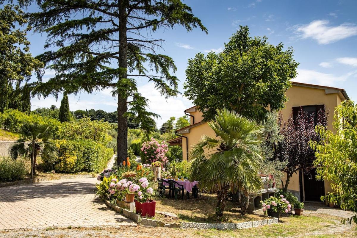 Casa Damiano Villa Chianni Kültér fotó